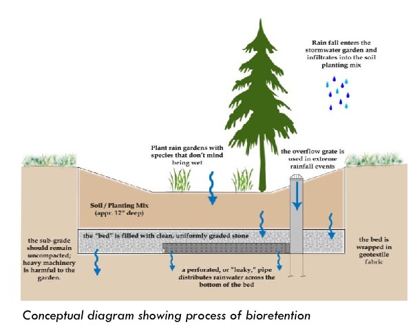 bioretention